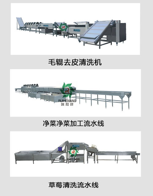 蔬菜去皮机报价 蔬菜去皮机 瑞和食品机械
