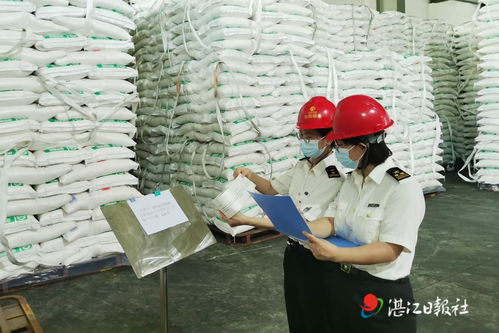 5512吨湛江糖搭乘中欧班列出口